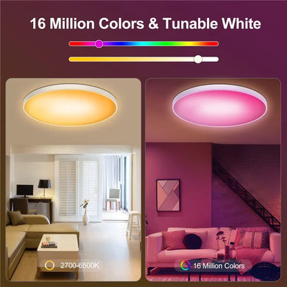 ZJ-BWCLAH-RGBWW-R12C2 LED Ceiling Light 30W Smart Night Light Lamp Voice Control for Living Bed Dining Room